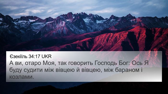 Єзекіїль 34:17 UKR Bible Verse Image