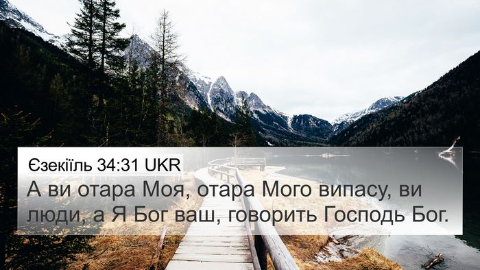 Єзекіїль 34:31 UKR Bible Verse Image