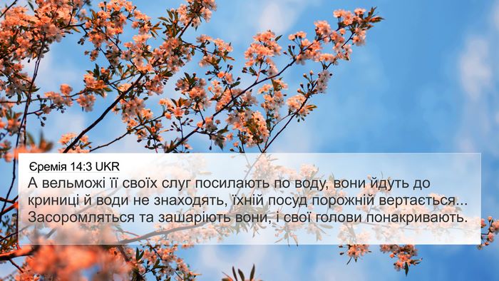 Єремія 14:3 UKR Bible Verse Image