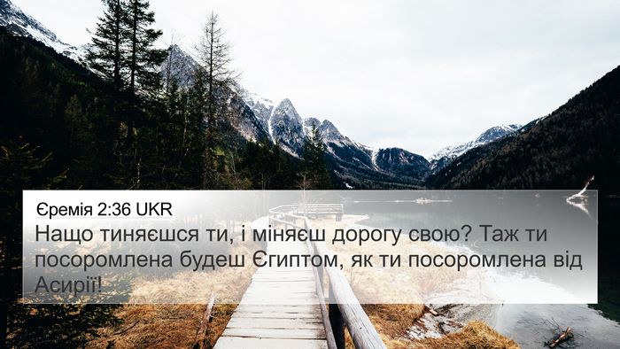 Єремія 2:36 UKR Bible Verse Image