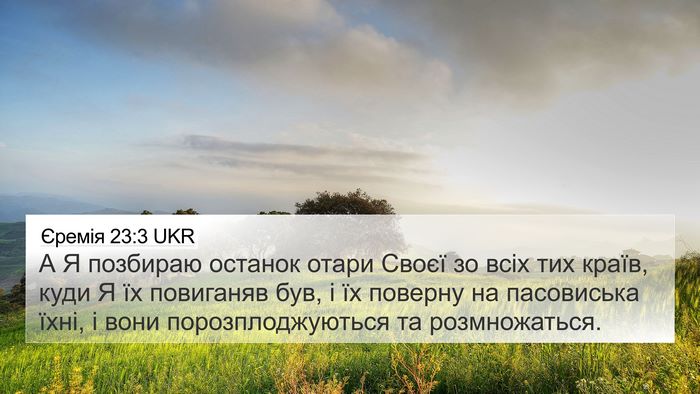Єремія 23:3 UKR Bible Verse Image