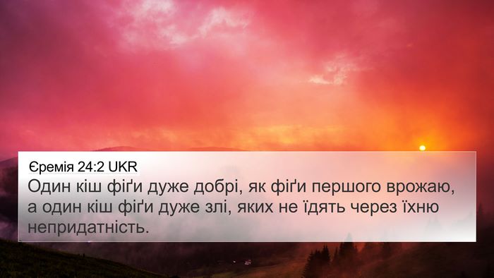 Єремія 24:2 UKR Bible Verse Image