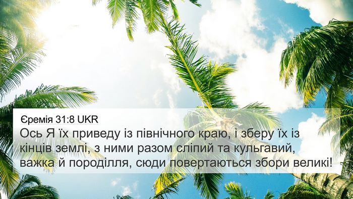 Єремія 31:8 UKR Bible Verse Image