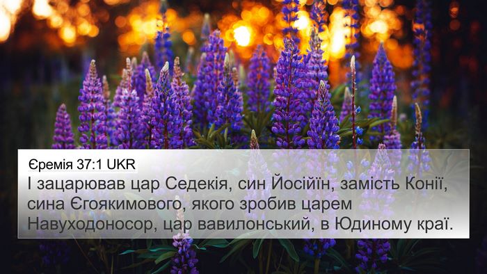 Єремія 37:1 UKR Bible Verse Image
