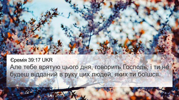 Єремія 39:17 UKR 4K Wallpaper - Але тебе врятую цього дня, - 4K Wallpaper Bible Verse