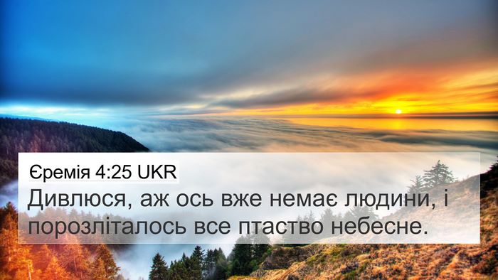 Єремія 4:25 UKR Bible Verse Image