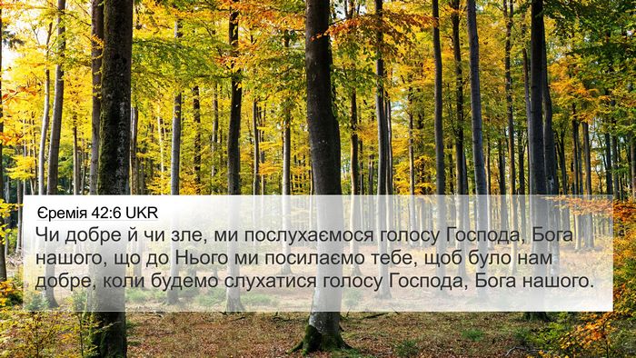 Єремія 42:6 UKR Bible Verse Image