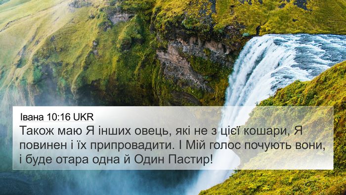 Івана 10:16 UKR Bible Verse Image
