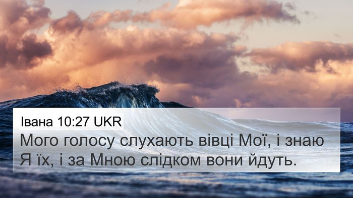 Івана 10:27 UKR Bible Verse Image