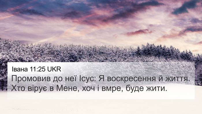 Івана 11:25 UKR Bible Verse Image