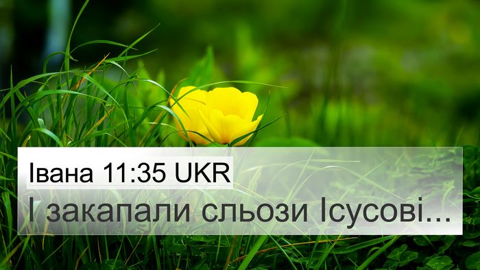 Івана 11:35 UKR Bible Verse Image