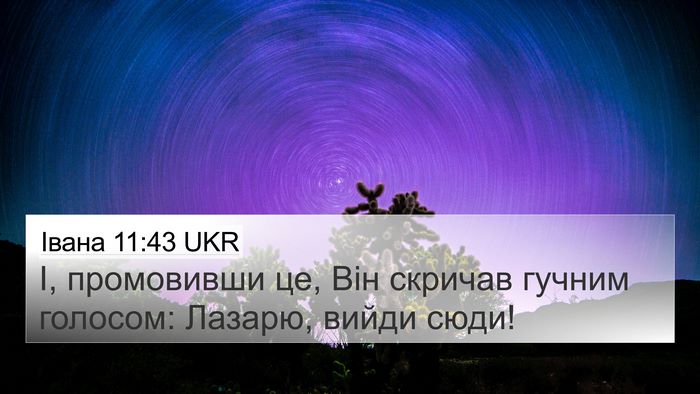Івана 11:43 UKR Bible Verse Image