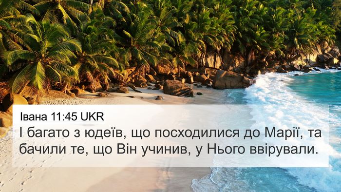 Івана 11:45 UKR Bible Verse Image