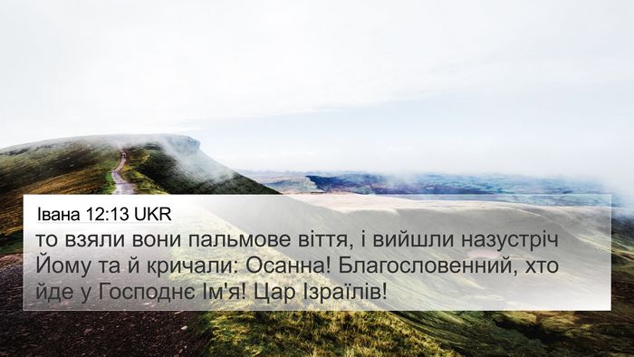 Івана 12:13 UKR Bible Verse Image