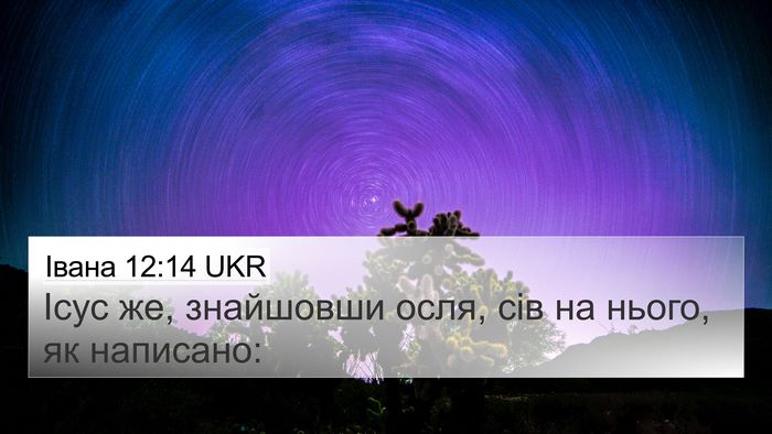 Івана 12:14 UKR Bible Verse Image