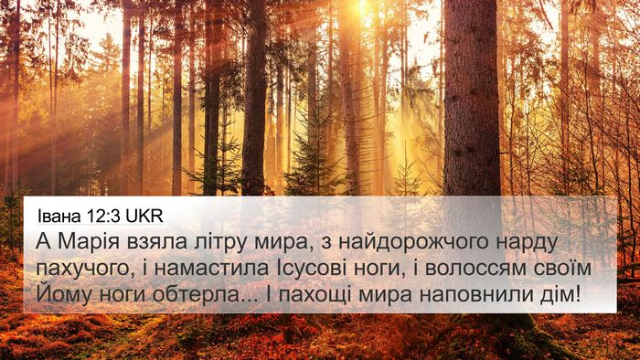 Івана 12:3 UKR Bible Verse Image