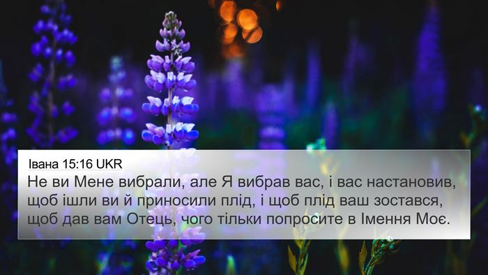 Івана 15:16 UKR Bible Verse Image