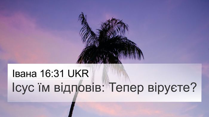 Івана 16:31 UKR 4K Wallpaper - Ісус їм відповів: Тепер - 4K Wallpaper Bible Verse