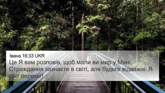 Івана 16:33 UKR Bible Verse Image