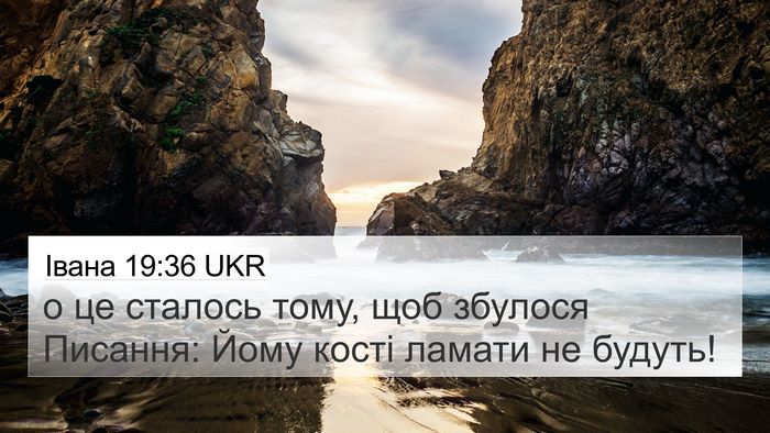 Івана 19:36 UKR Bible Verse Image