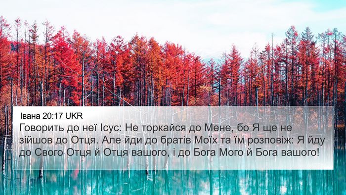 Івана 20:17 UKR Bible Verse Image