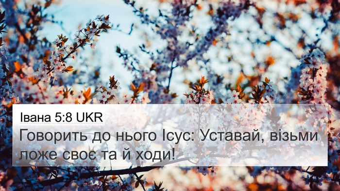 Івана 5:8 UKR Bible Verse Image