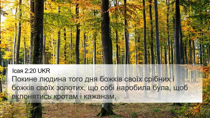 Ісая 2:20 UKR Bible Verse Image