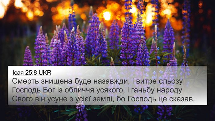 Ісая 25:8 UKR Bible Verse Image