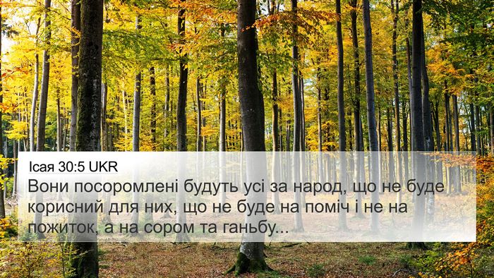 Ісая 30:5 UKR Bible Verse Image