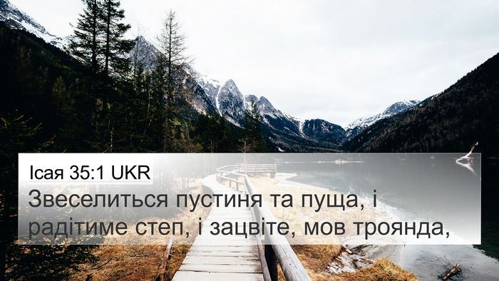 Ісая 35:1 UKR Bible Verse Image