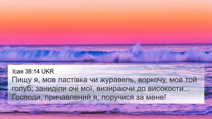 Ісая 38:14 UKR Bible Verse Image