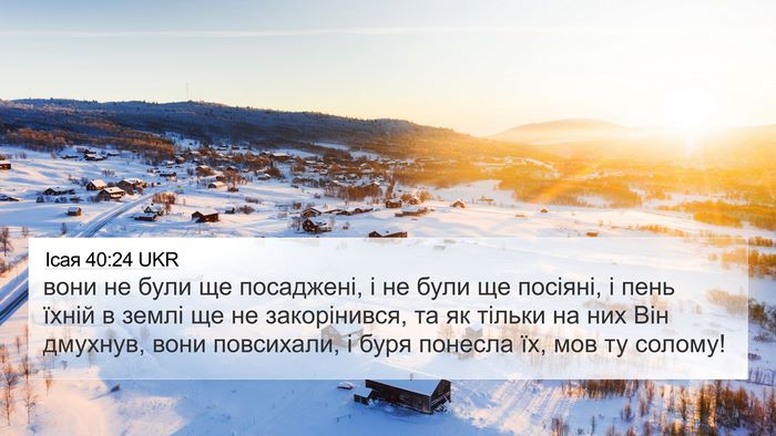 Ісая 40:24 UKR Bible Verse Image