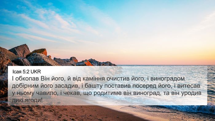 Ісая 5:2 UKR Bible Verse Image