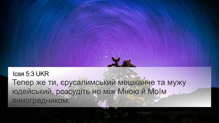 Ісая 5:3 UKR Bible Verse Image