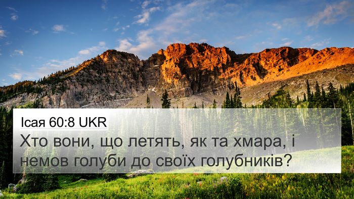 Ісая 60:8 UKR Bible Verse Image