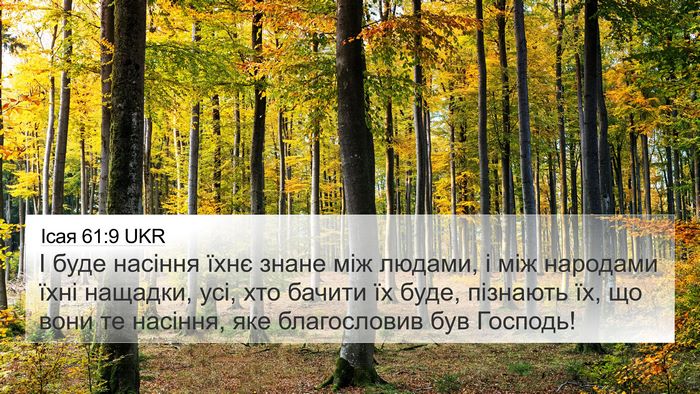 Ісая 61:9 UKR Bible Verse Image
