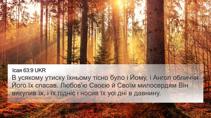 Ісая 63:9 UKR Bible Verse Image