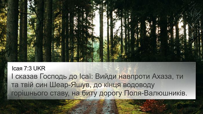 Ісая 7:3 UKR Bible Verse Image