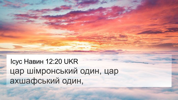 Ісус Навин 12:20 UKR Bible Verse Image