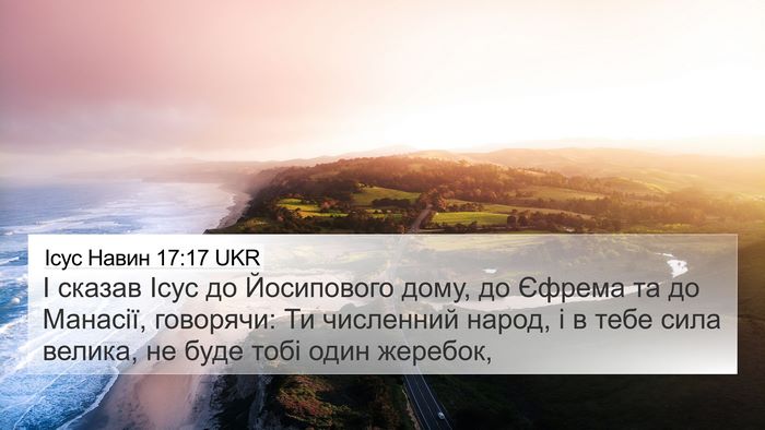Ісус Навин 17:17 UKR Bible Verse Image