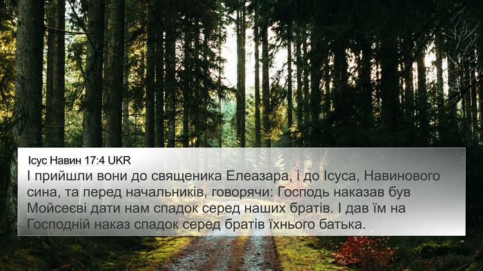 Ісус Навин 17:4 UKR 4K Wallpaper - І прийшли вони до - 4K Wallpaper Bible Verse