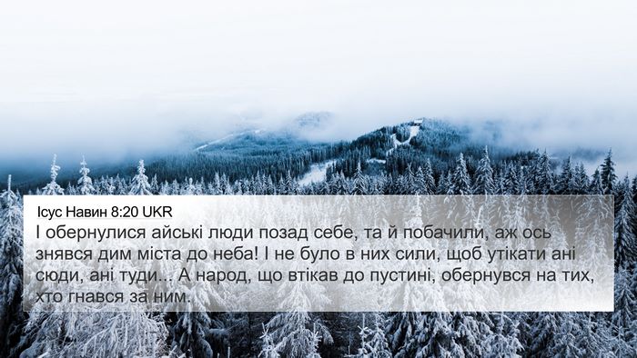 Ісус Навин 8:20 UKR Bible Verse Image