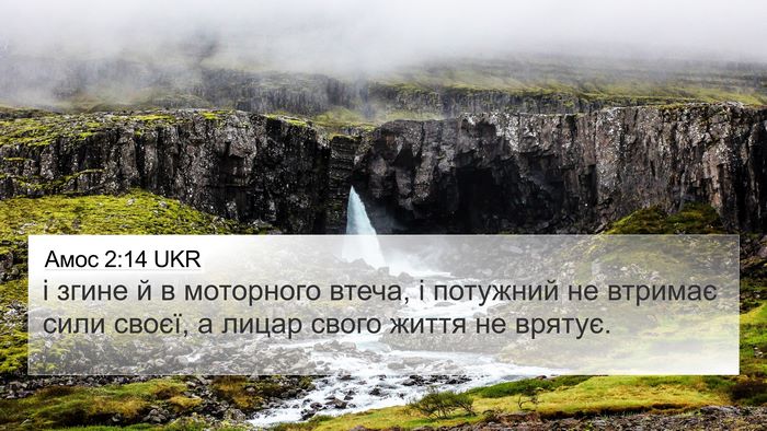 Амос 2:14 UKR Bible Verse Image