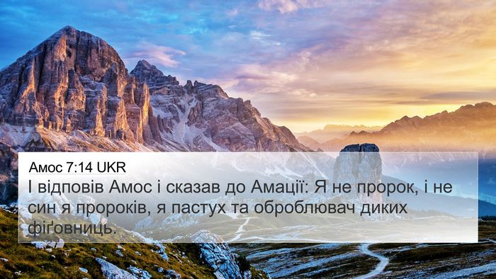 Амос 7:14 UKR Bible Verse Image