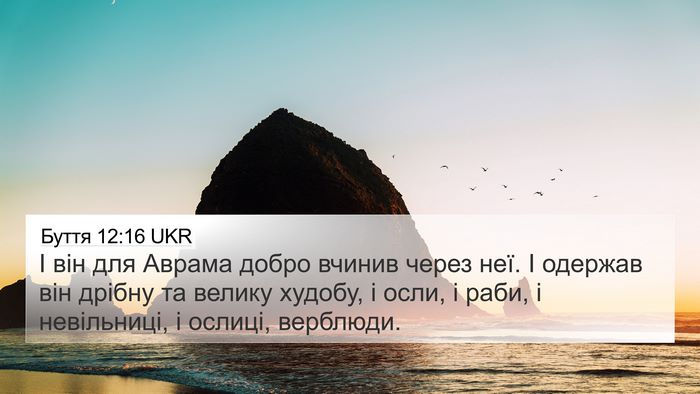 Буття 12:16 UKR Bible Verse Image