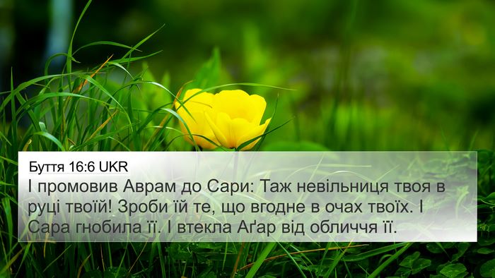 Буття 16:6 UKR Bible Verse Image