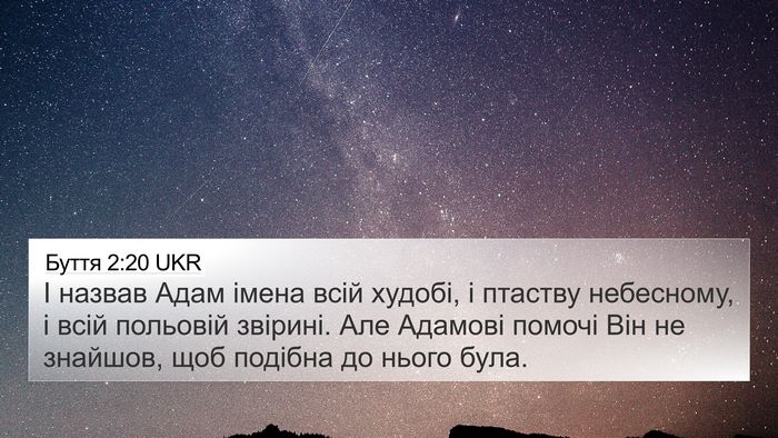 Буття 2:20 UKR Bible Verse Image