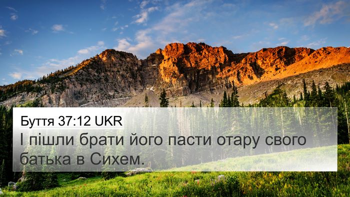 Буття 37:12 UKR Bible Verse Image