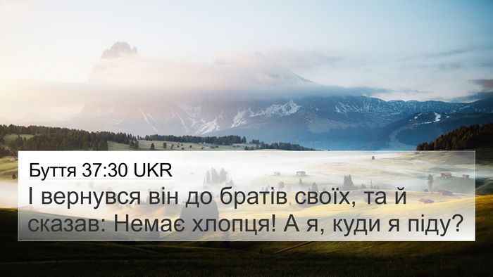 Буття 37:30 UKR Bible Verse Image