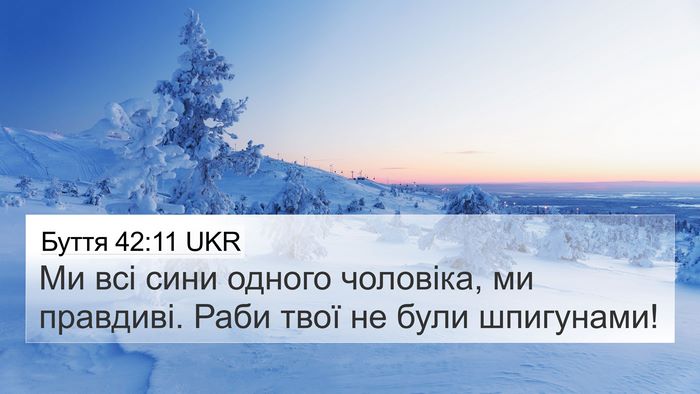 Буття 42:11 UKR Bible Verse Image